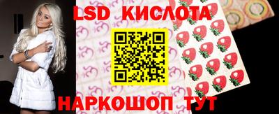 гидра Заводоуковск