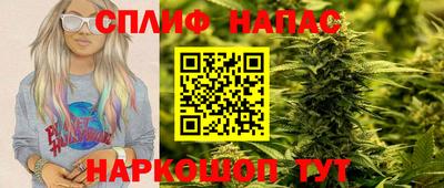 гидра Заводоуковск