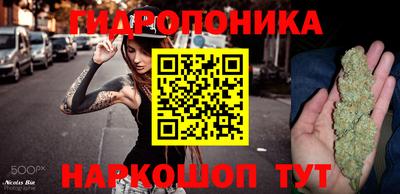 гидра Заволжье