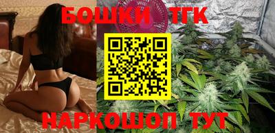 гидра Заводоуковск